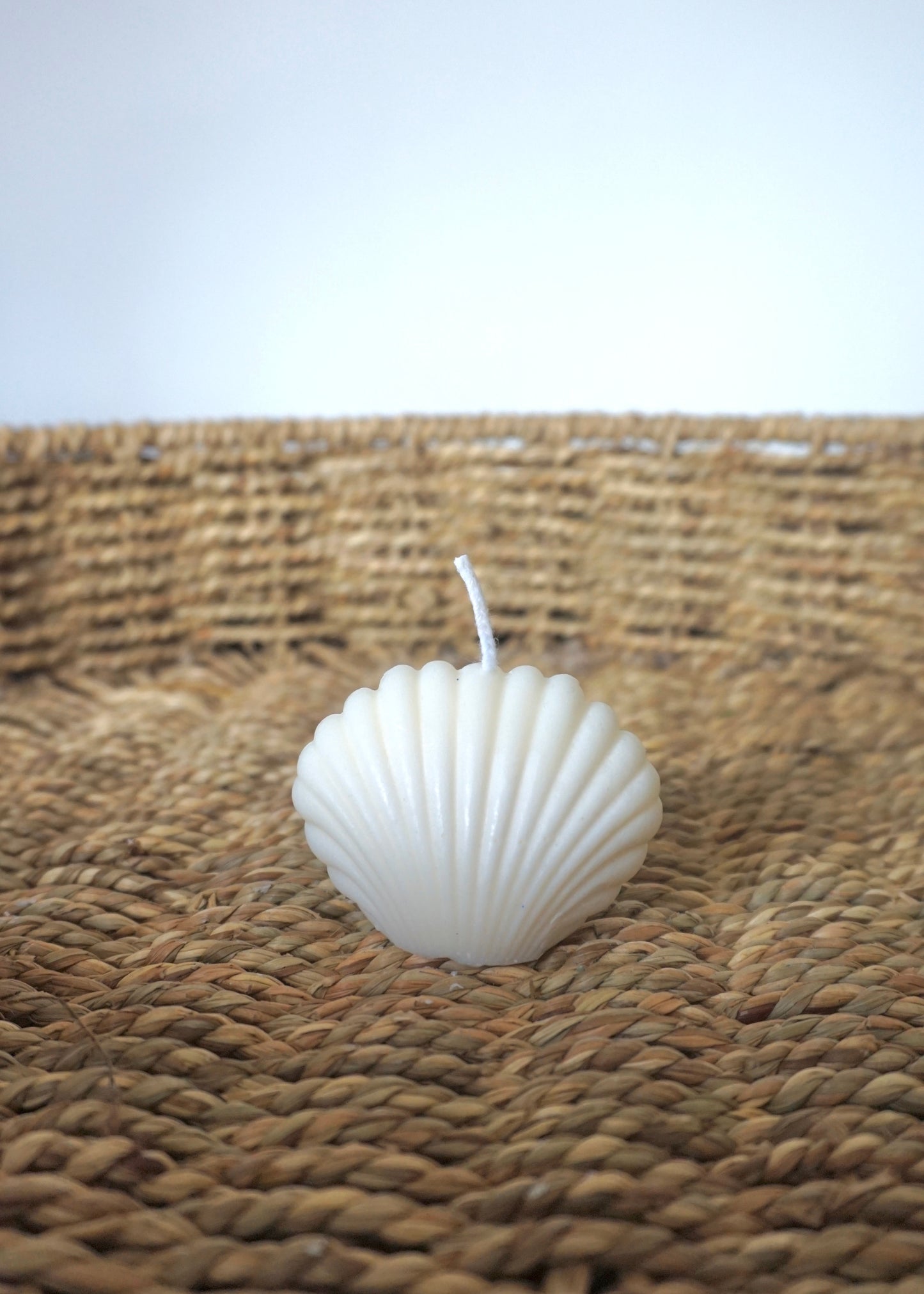 Small Shell Candle